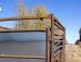 Swing Feeder  Model: W-4 for Cows/Bulls  and   N-4 for Calves