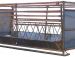 Swing Feeder Model: W-6 for Cows/Bulls  and   N-6 for Calves